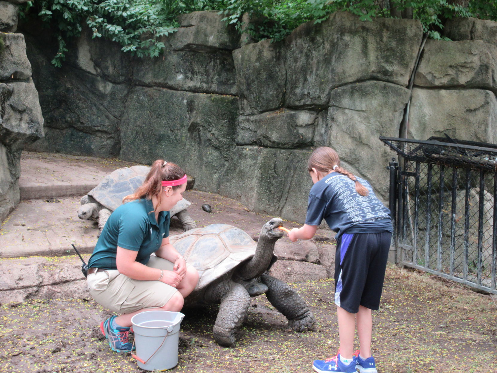 Marlin Perkins Society Herpetarium tour.JPG